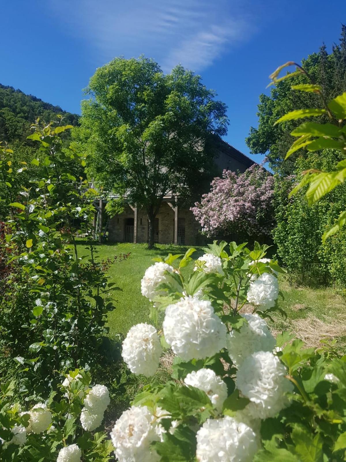 Les Gites Du Saro Chabestan Eksteriør billede